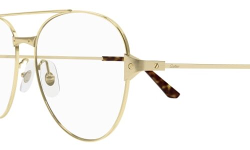 Cartier umgjörð 0307O 55