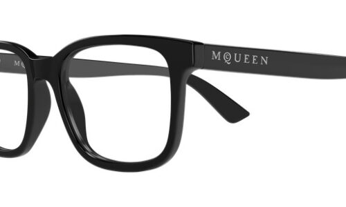 Alexander Mcqueen umgjörð 0541O 54