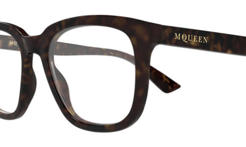 Alexander Mcqueen umgjörð 0539O 52