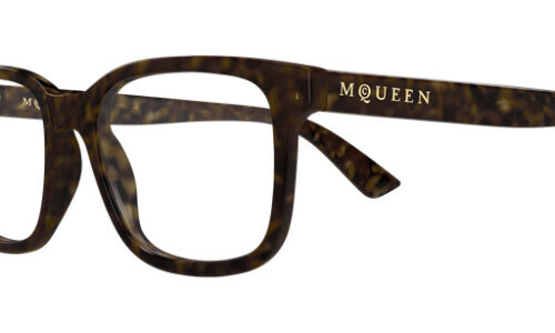 Alexander Mcqueen umgjörð 0541O 54