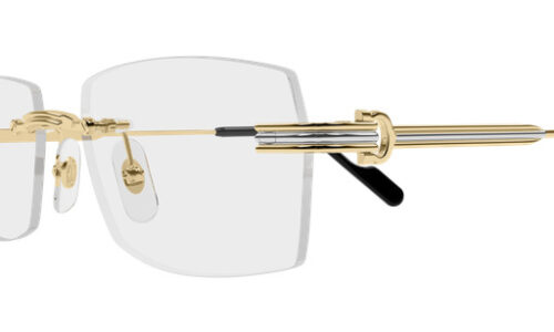 Cartier umgjörð 0578O 55