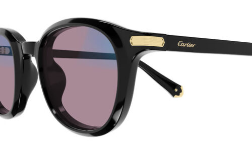 Cartier sólgleraugu 0584S 49 Photocromatic