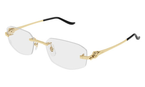 Cartier umgjörð 0601O 55