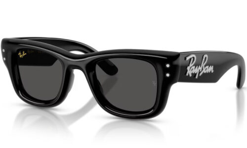 Ray Ban sólgleraugu Wayfarer Puffer 4940B 47