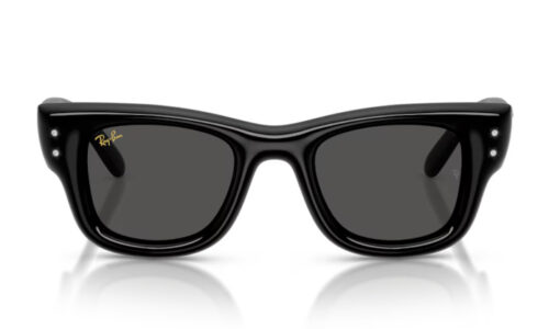 Ray Ban sólgleraugu Wayfarer Puffer 4940B 47