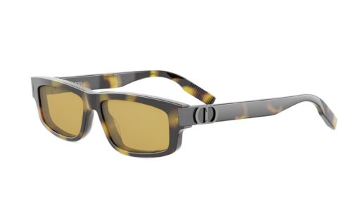 Dior sólgleraugu CD Icon S2I 55