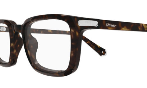 Cartier umgjörð 0586O 53