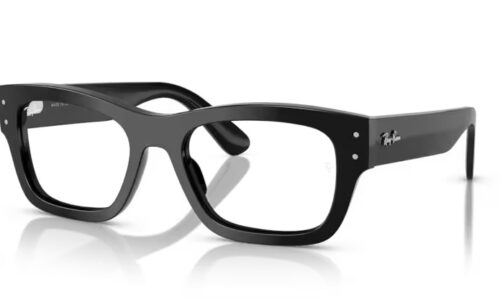 Ray Ban umgjörð 7683V 55