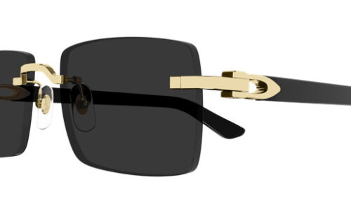 Cartier sólgleraugu 0579S 57