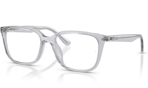 Ray Ban umgjörð 7248D 55