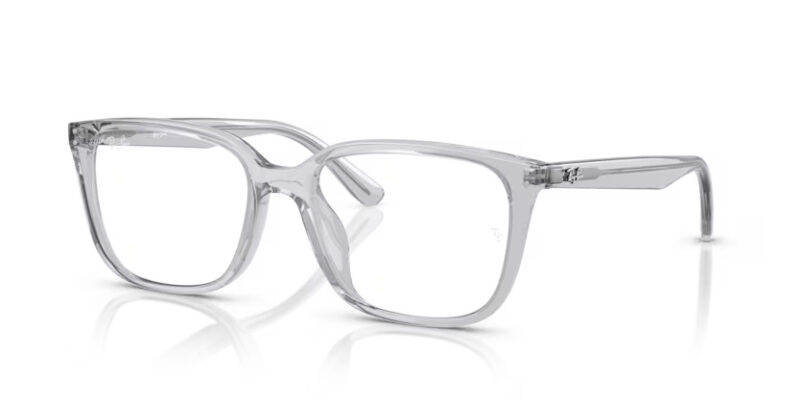 Ray Ban umgjörð 7248D 55