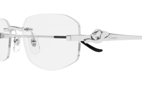 Cartier umgjörð 0601O 55