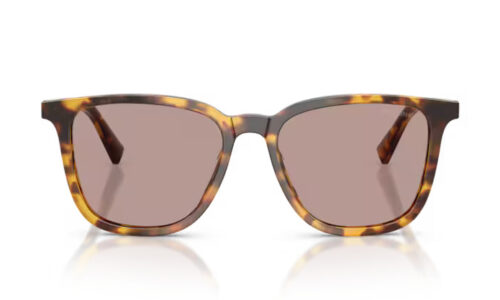 Miu Miu sólgleraugu B03S 53