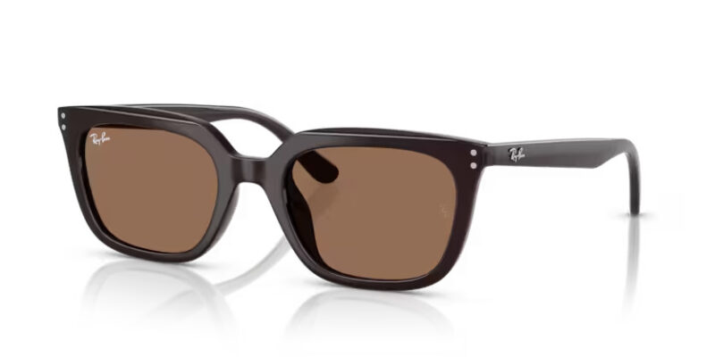 Ray Ban sólgleraugu 4439D 54