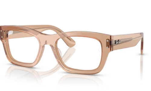 Ray Ban umgjörð 7683V 55