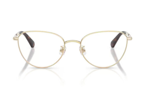 Swarovski umgjörð 1029D 54