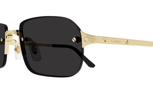 Cartier sólgleraugu 0460S 56