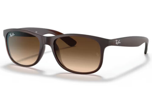 Ray Ban sólgleraugu 4202 55