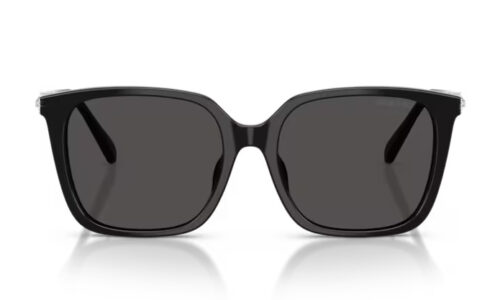 Swarovski sólgleraugu 6053D 55