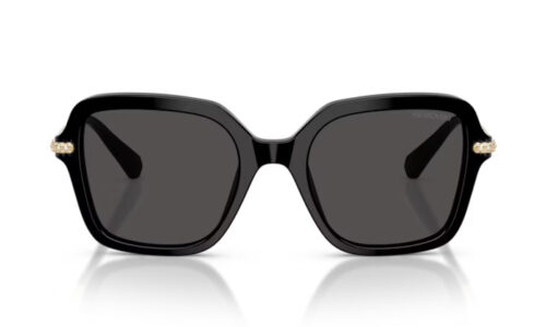 Swarovski sólgleraugu 6040 50