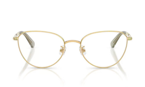 Swarovski umgjörð 1029D 54