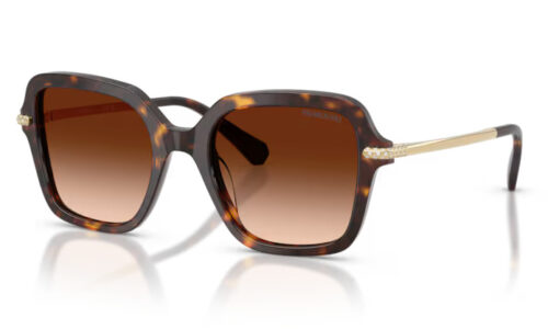 Swarovski sólgleraugu 6040 50