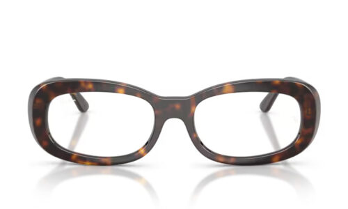 Ray Ban umgjörð 2221V 53