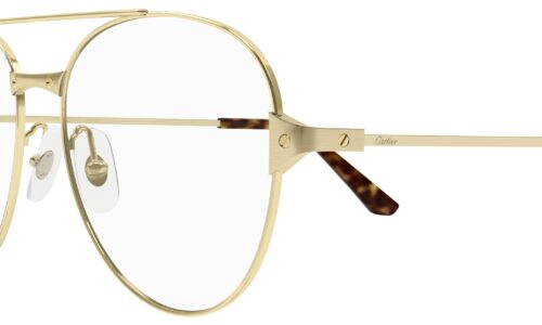 Cartier umgjörð 0307O 55