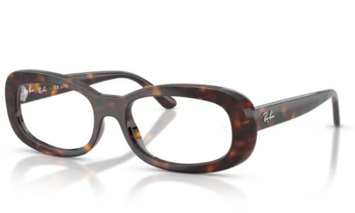 Ray Ban umgjörð 2221V 53