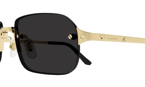 Cartier sólgleraugu 0460S 56