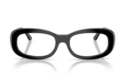 Ray Ban umgjörð 2221V 53