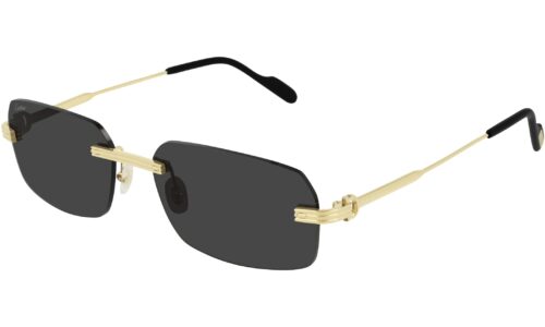 Cartier sólgleraugu 0271S 58