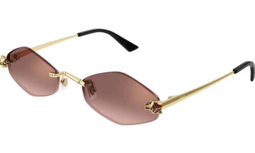 Cartier sólgleraugu 0433S 55