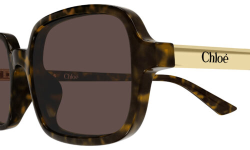 Chloé sólgleraugu 0363S 53