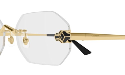 Cartier umgjörð 0599O 56