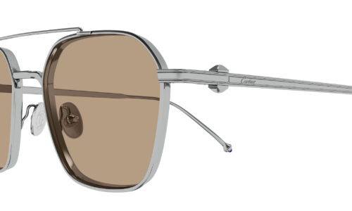 Cartier sólgleraugu 0618S 53