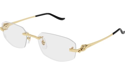 Cartier umgjörð 0601O 55