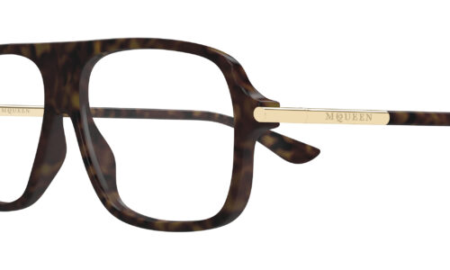 Alexander Mcqueen umgjörð 0555O 57