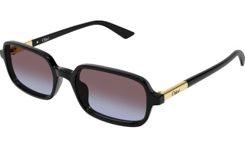 Chloé sólgleraugu 0363S 53