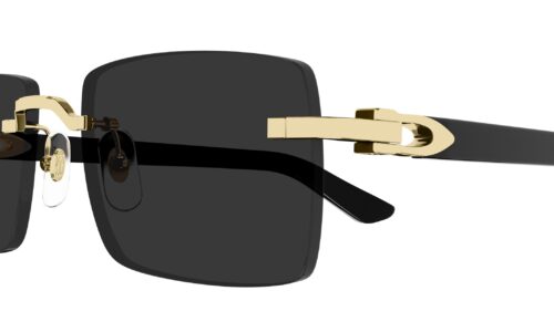 Cartier sólgleraugu 0579S 57