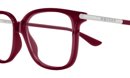 Alexander Mcqueen umgjörð 0554O 53