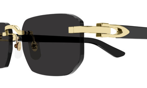 Cartier sólgleraugu 0622S 53