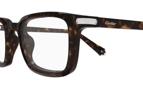 Cartier umgjörð 0586O 53