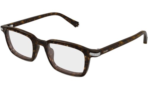 Cartier umgjörð 0586O 53