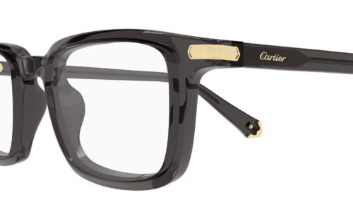 Cartier umgjörð 0586O 53