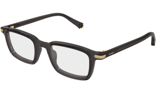 Cartier umgjörð 0586O 53