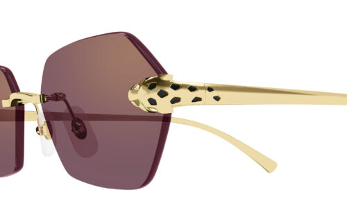 Cartier sólgleraugu 0636S 55