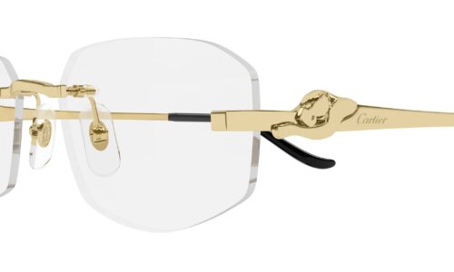 Cartier umgjörð 0601O 55