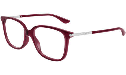 Alexander Mcqueen umgjörð 0554O 53