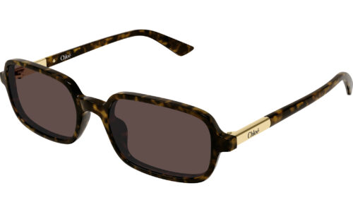 Chloé sólgleraugu 0363S 53